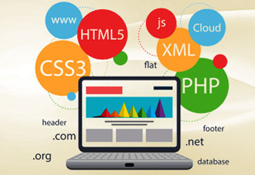 Startech Education Computer Institute in Faridkot